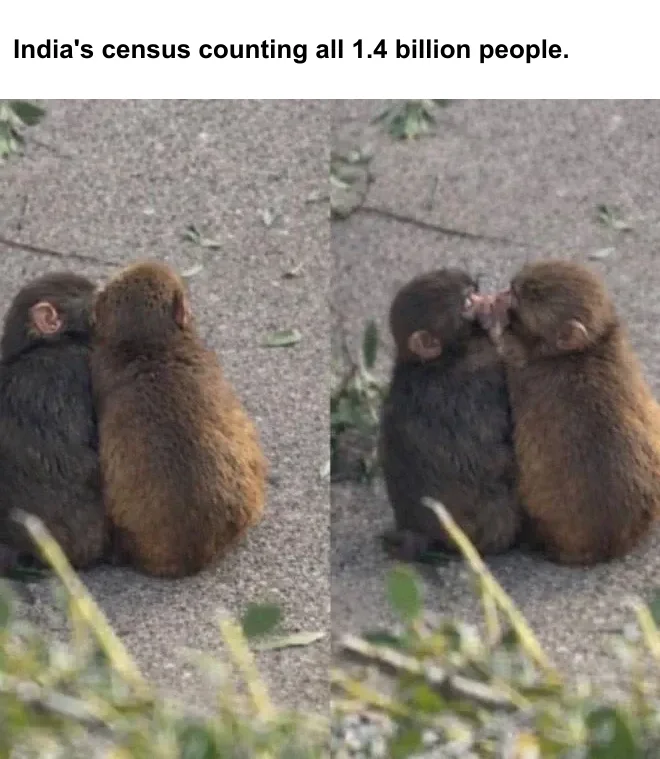 How Do You Count 1.4 Billion People? India Is Trying.