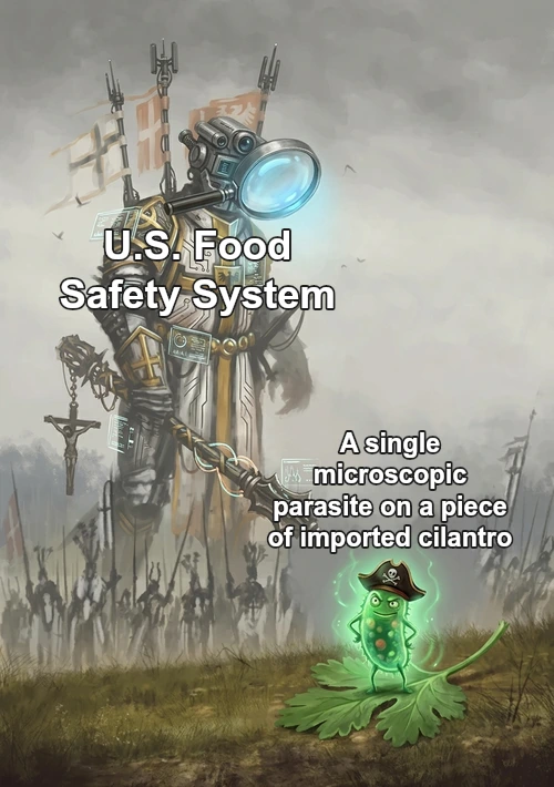 How Cyclospora Evaded the U.S. Food Safety System to Sicken Thousands